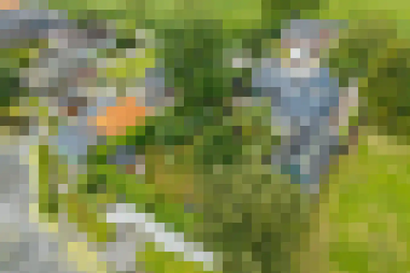 Wirdumerweg 63 Wirdum thumbnail 80