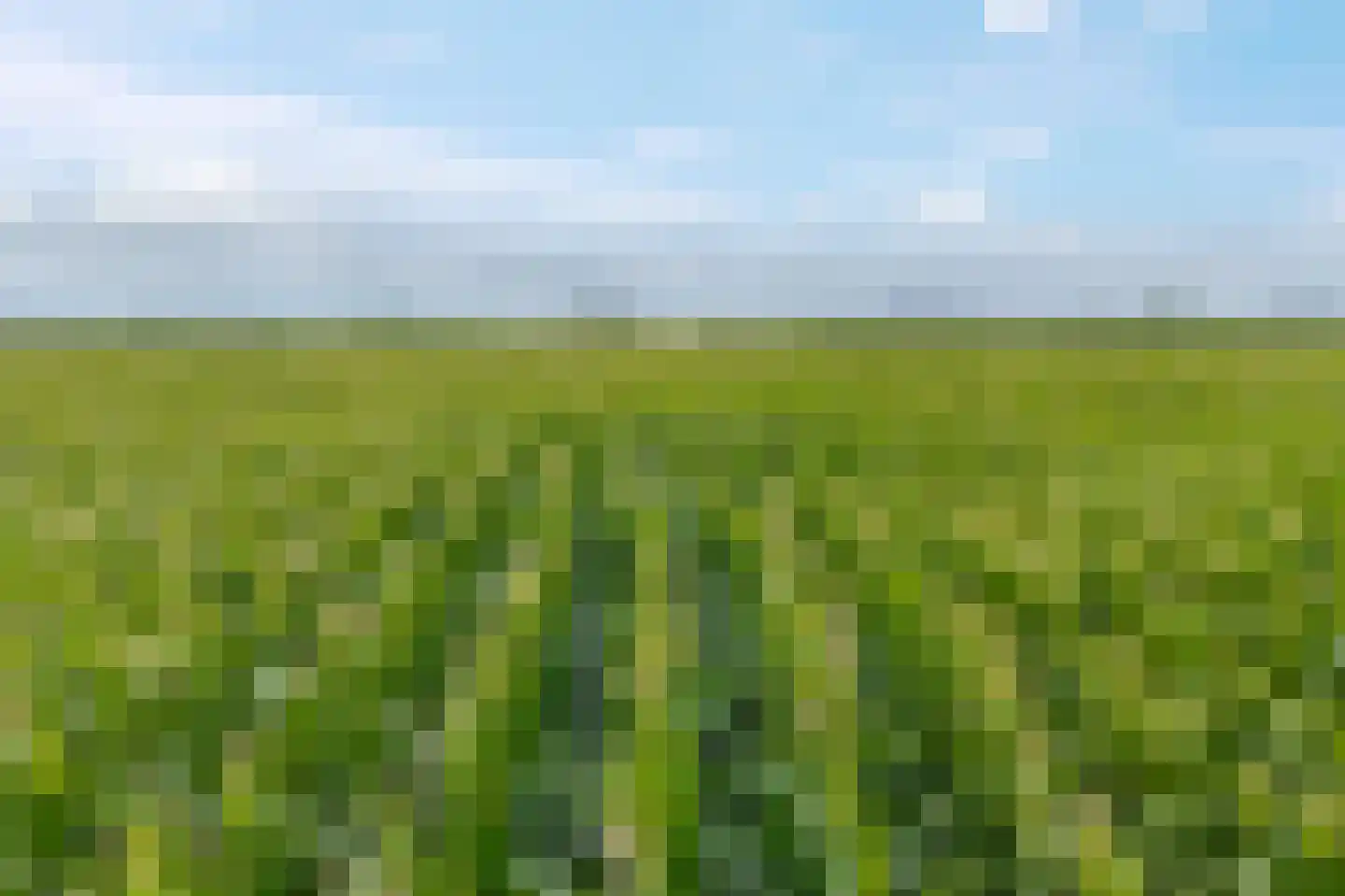 Wirdumerweg 63 Wirdum thumbnail 86