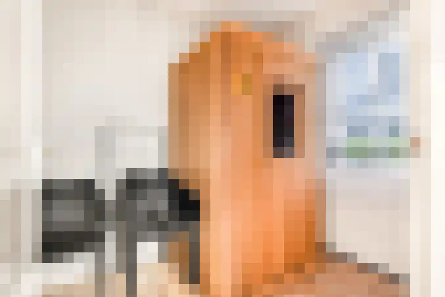 Wiringherlant 5 Hippolytushoef thumbnail 12