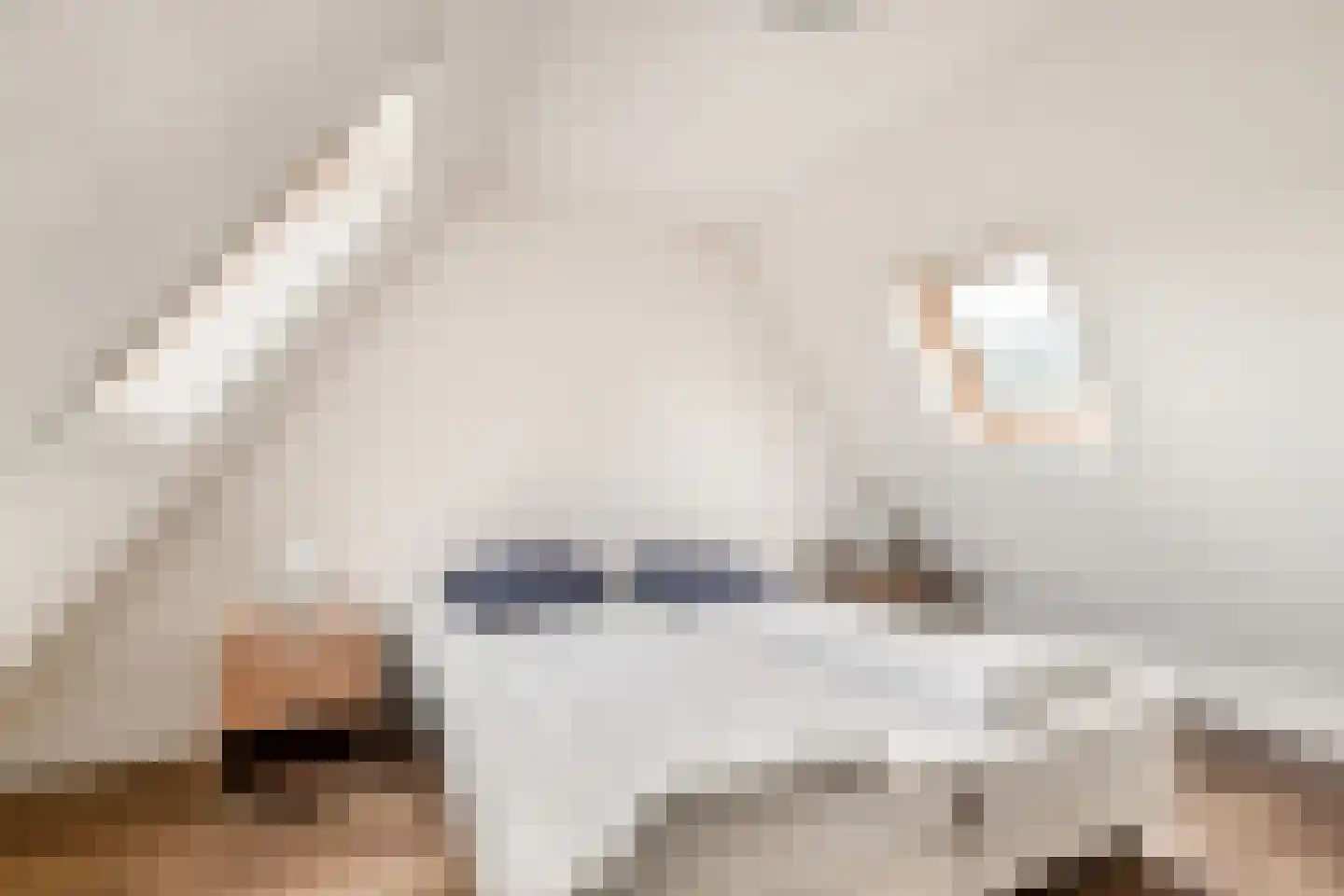 Wiringherlant 5 Hippolytushoef thumbnail 15