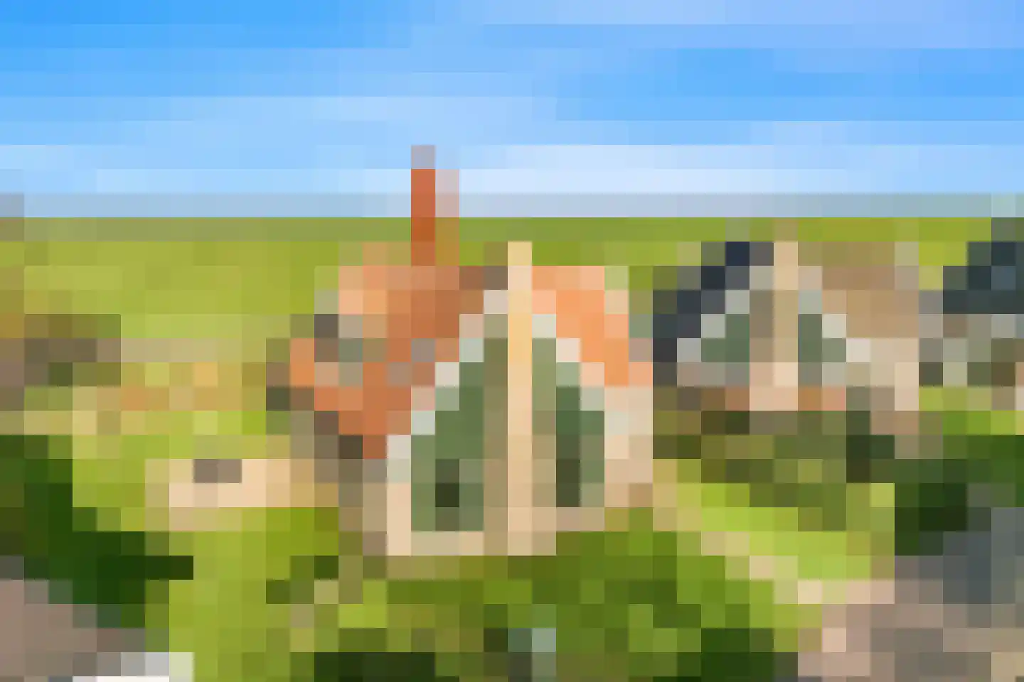 Wiringherlant 5 Hippolytushoef thumbnail 28