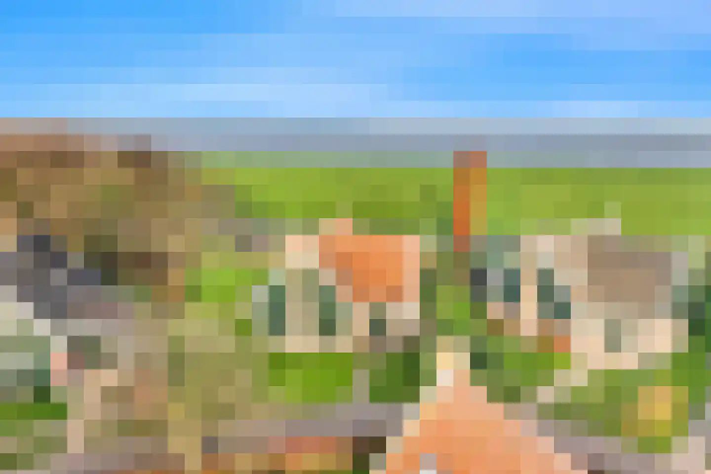 Wiringherlant 5 Hippolytushoef thumbnail 29