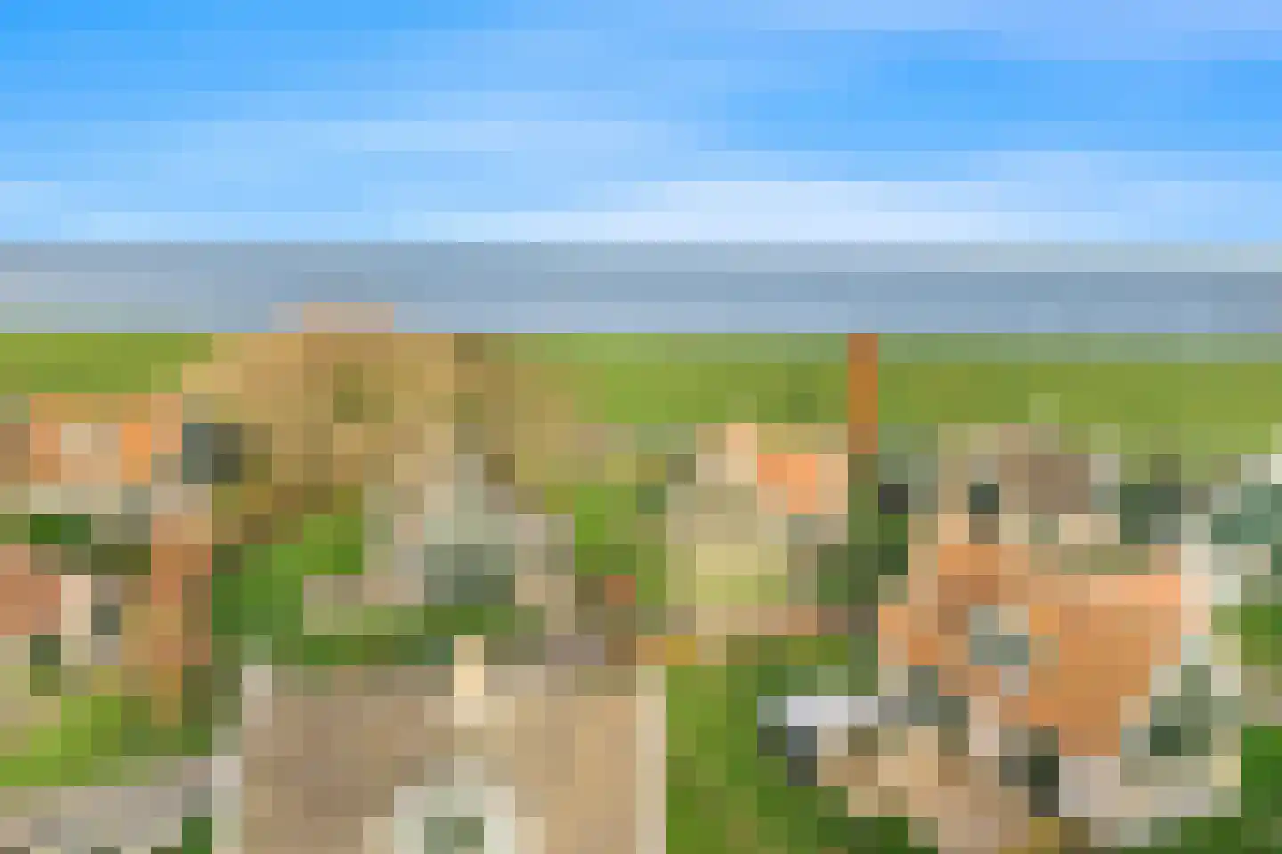 Wiringherlant 5 Hippolytushoef thumbnail 30