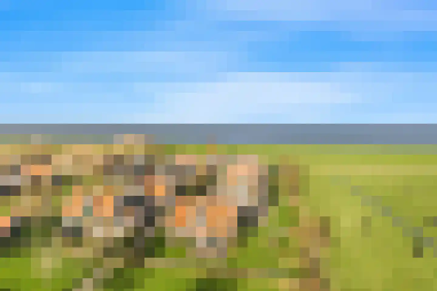 Wiringherlant 5 Hippolytushoef thumbnail 31