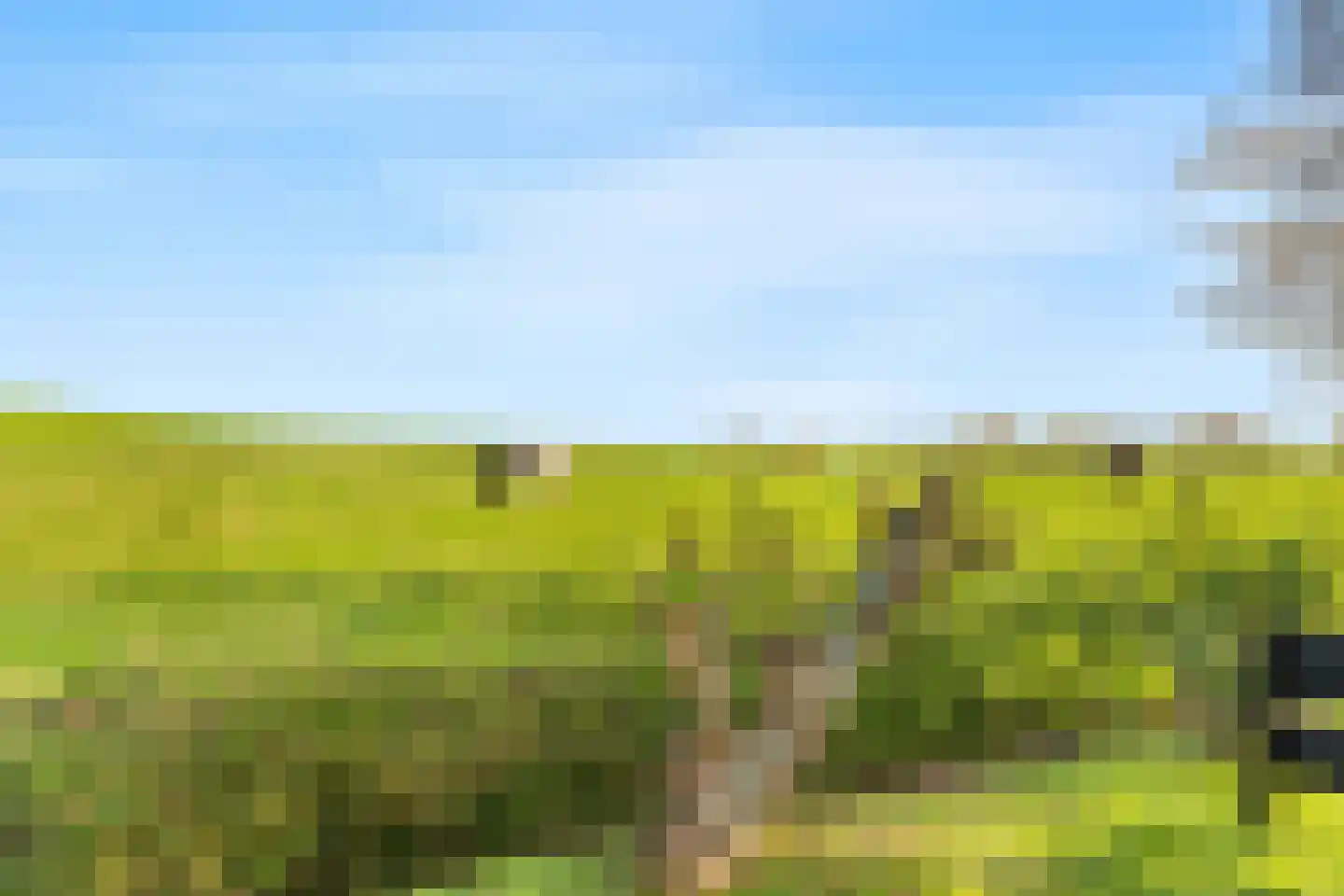 Wiringherlant 5 Hippolytushoef thumbnail 32