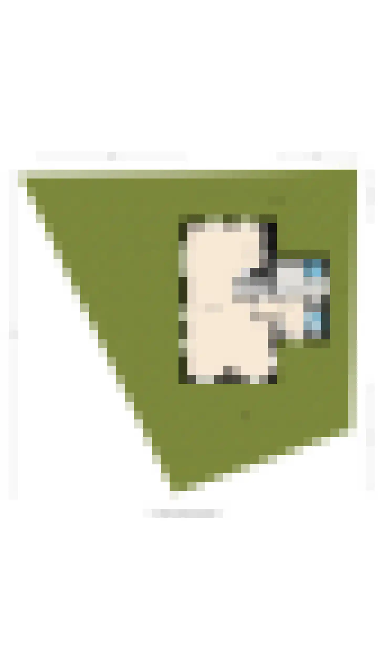 Wiringherlant 5 Hippolytushoef thumbnail 38