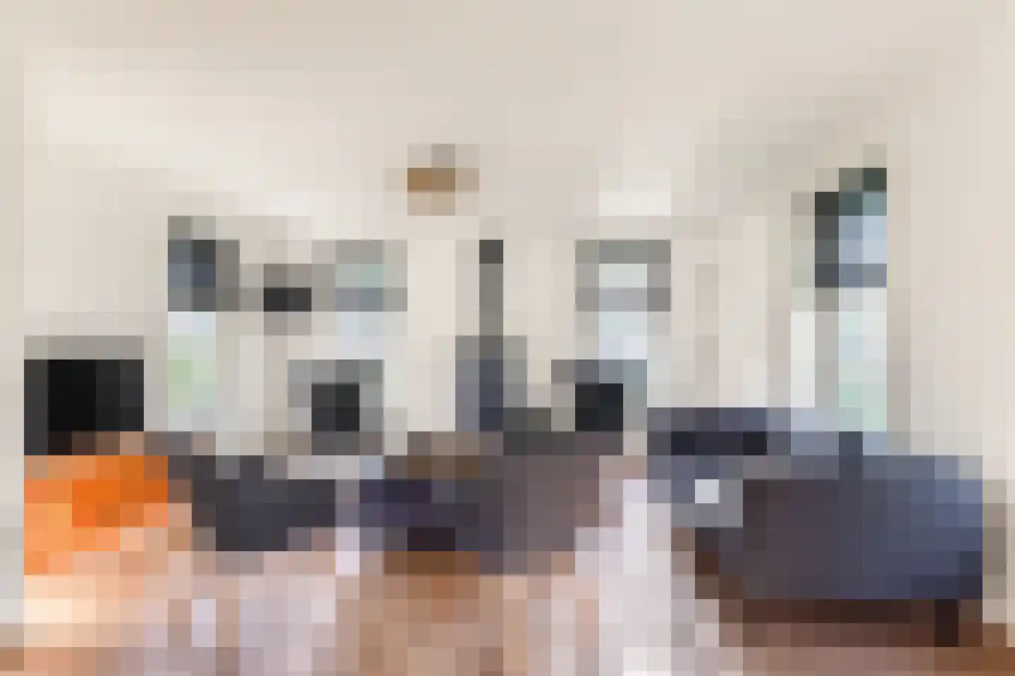 Wiringherlant 5 Hippolytushoef thumbnail 5