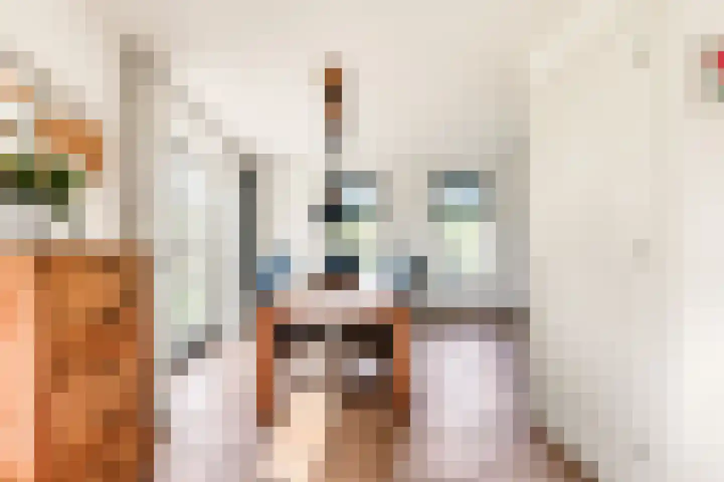 Wiringherlant 5 Hippolytushoef thumbnail 8