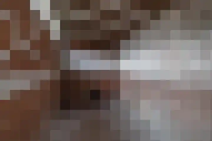 Wirixstraat 26 Hilversum thumbnail 24