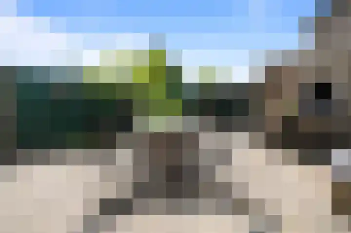 Wirixstraat 53 Hilversum thumbnail 11