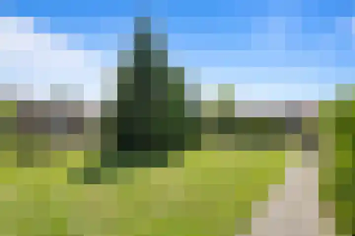 Wirixstraat 53 Hilversum thumbnail 20