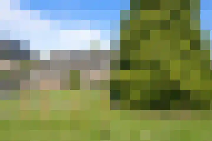 Wirixstraat 53 Hilversum thumbnail 22
