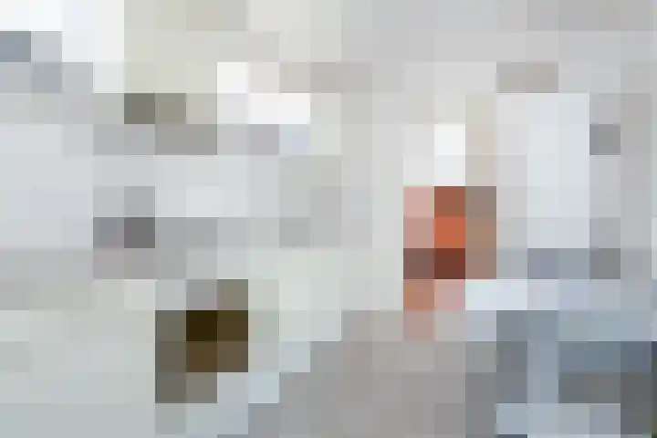 Wirostraat 11 Echt thumbnail 10