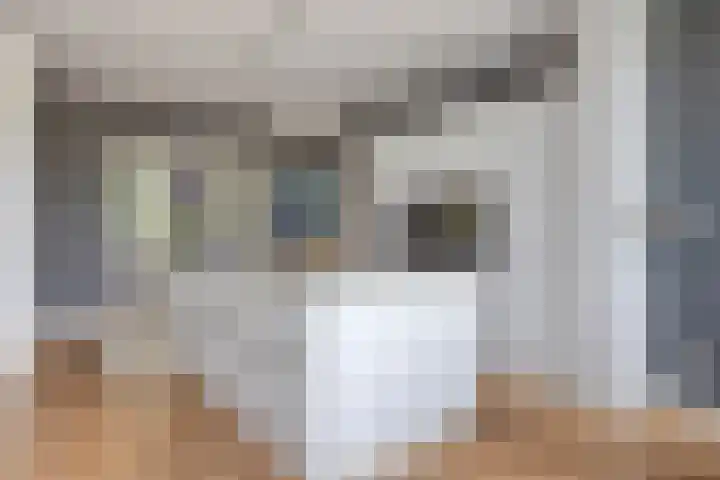Wirostraat 11 Echt thumbnail 12