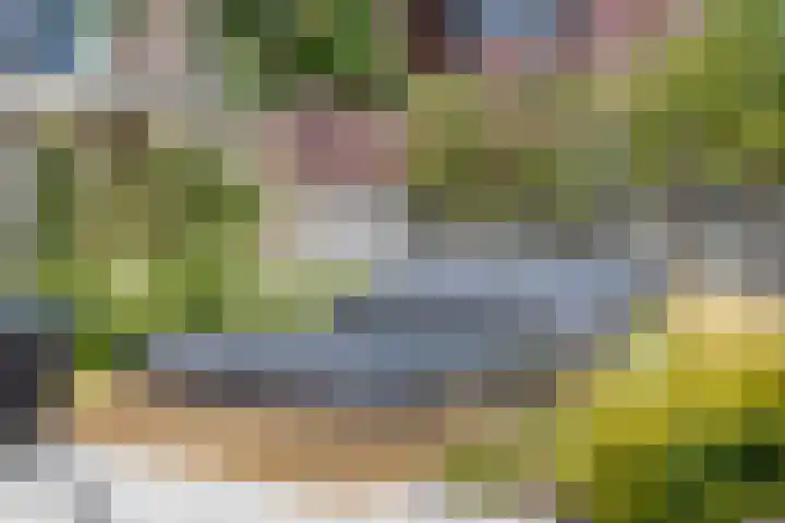Wirostraat 11 Echt thumbnail 7