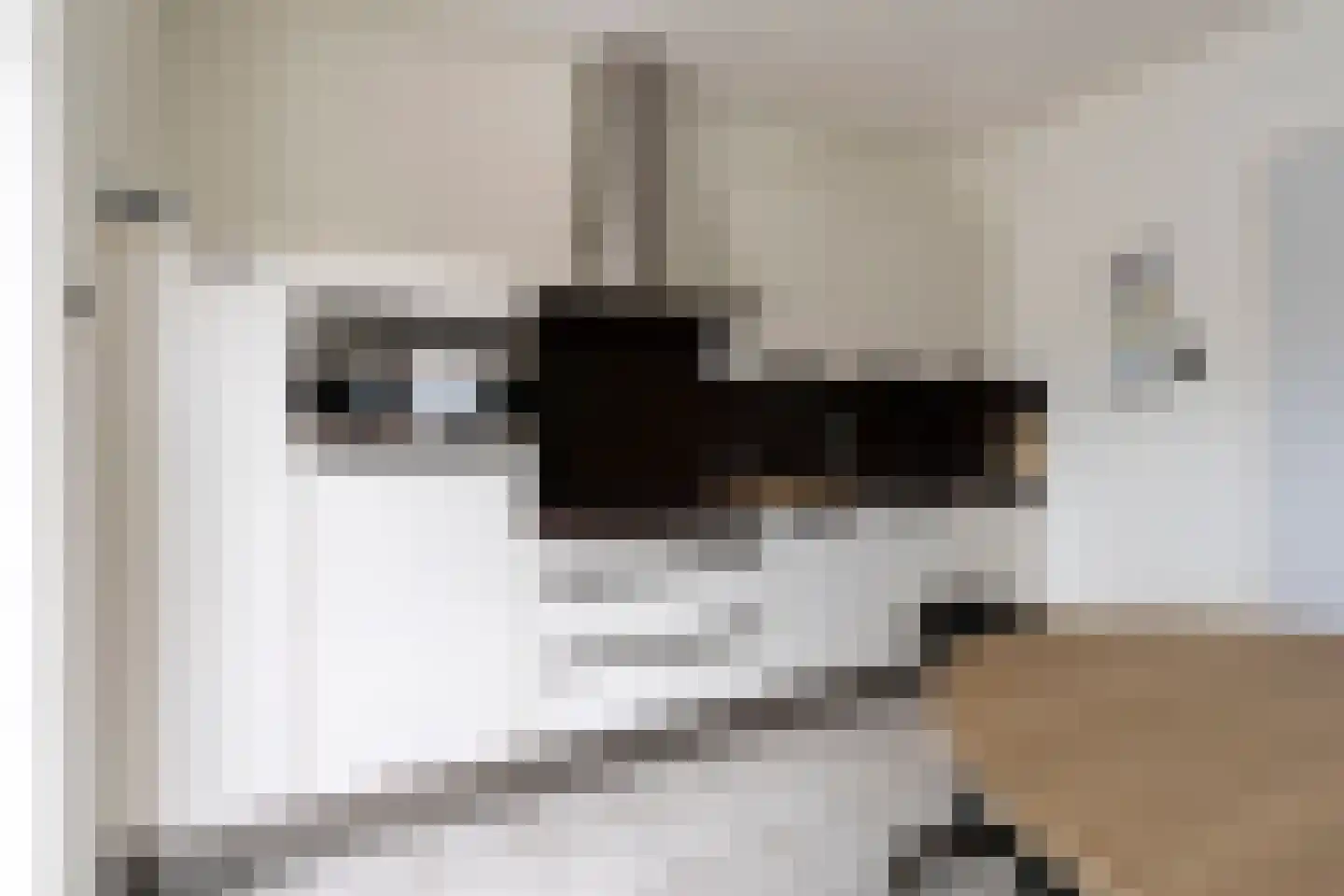 Wisbroek 1 Stramproy thumbnail 12
