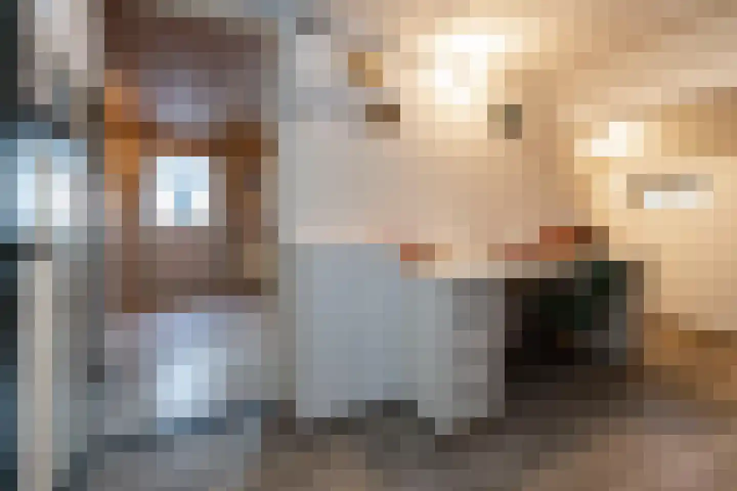 Wisbroek 1 Stramproy thumbnail 20