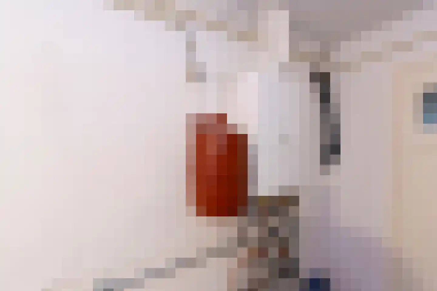 Wisbroek 1 Stramproy thumbnail 21