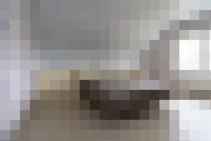 Wisbroek 1 Stramproy thumbnail 36