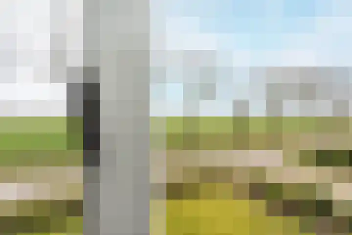Wisbroek 1 Stramproy thumbnail 39