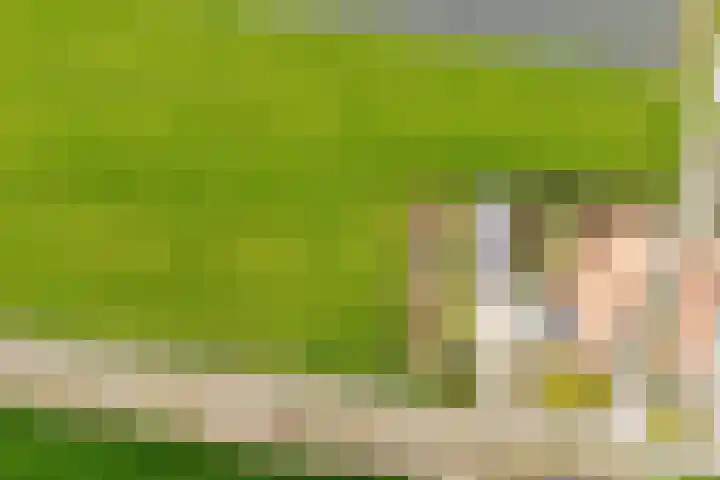 Wisbroek 1 Stramproy thumbnail 4