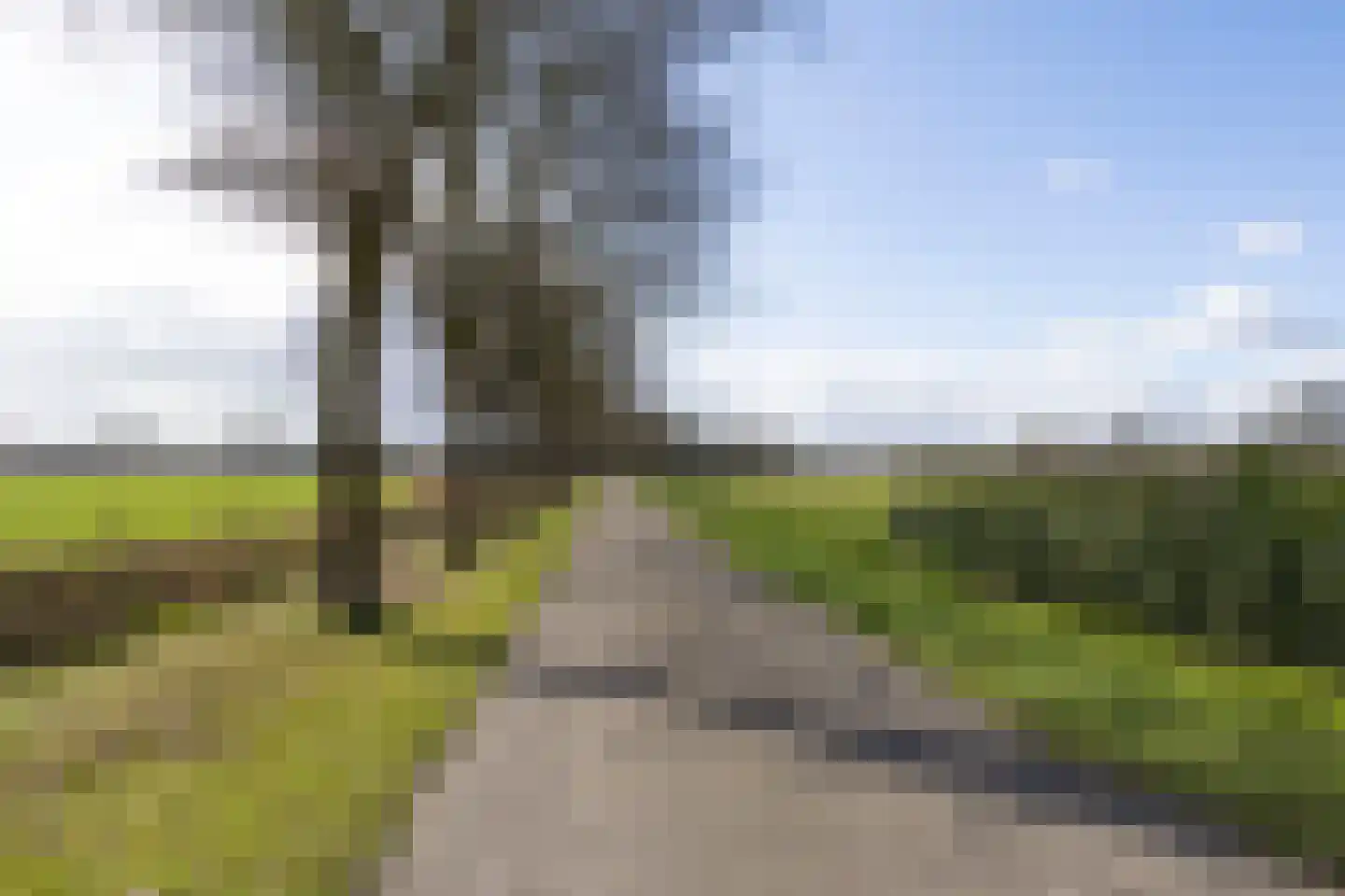 Wisbroek 1 Stramproy thumbnail 47