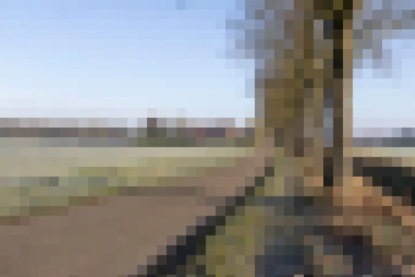 Wisbroek 1 Stramproy thumbnail 48
