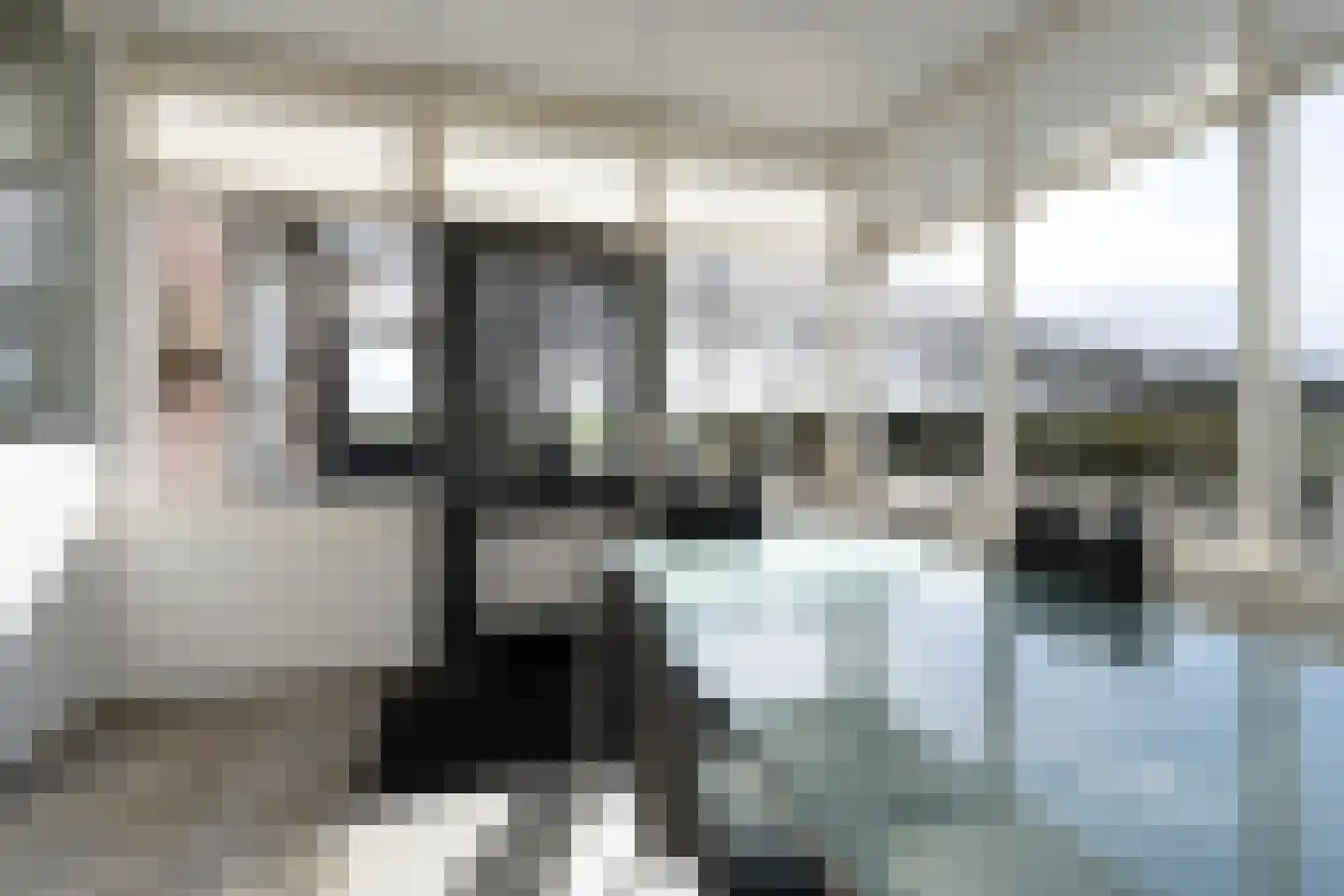 Wisbroek 1 Stramproy thumbnail 8