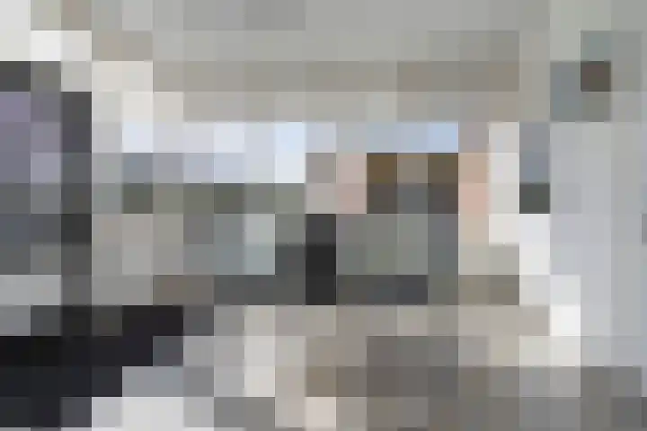 Wisbroek 1 Stramproy thumbnail 9