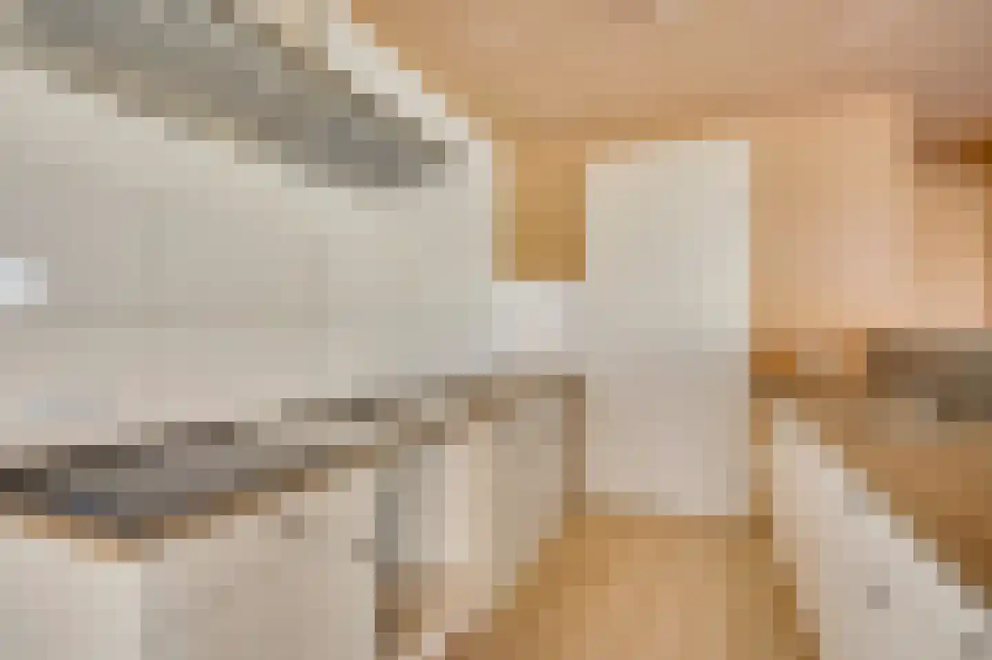 Wisbroek 2 A Stramproy thumbnail 17