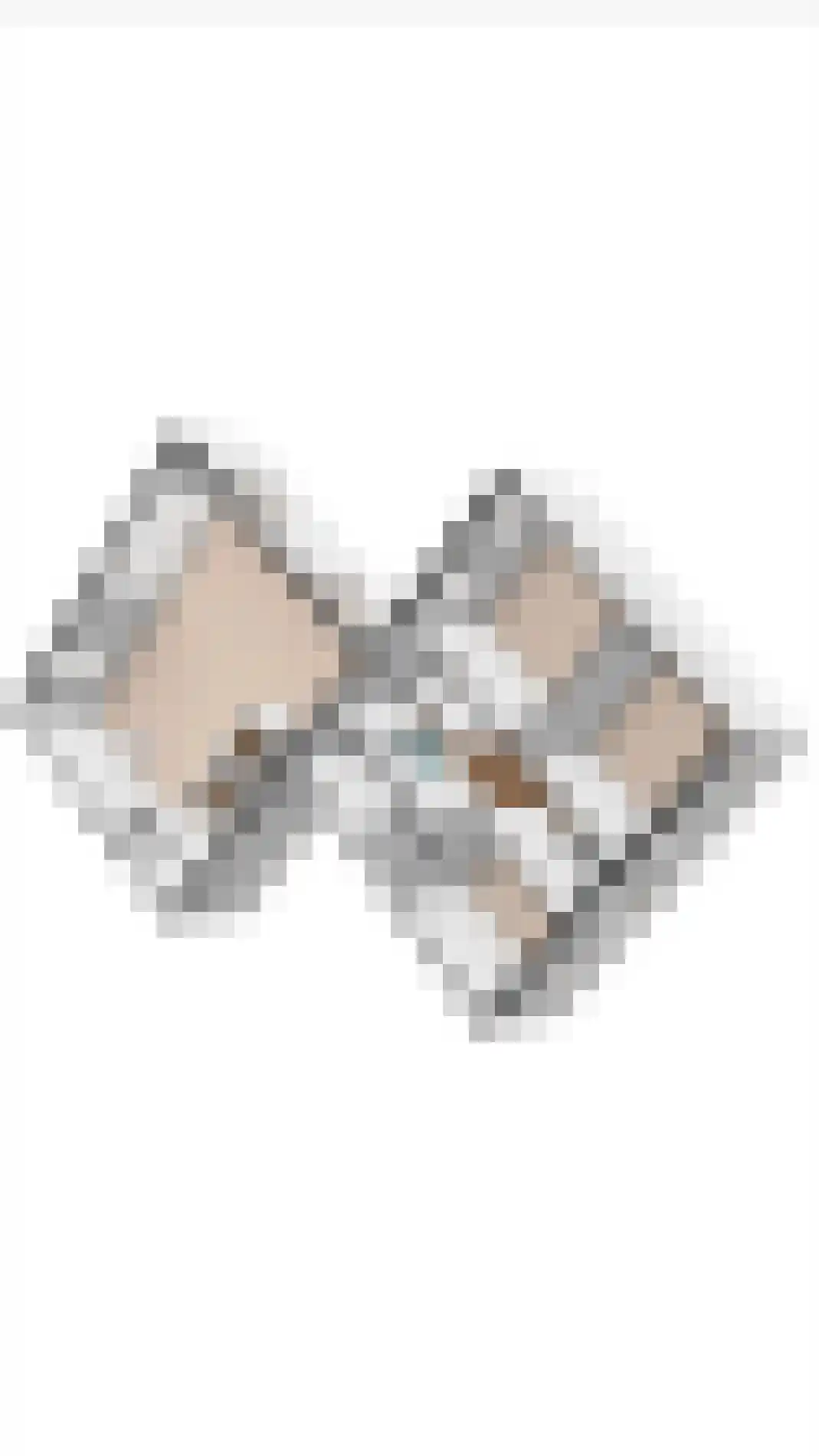 Wisbroek 2 A Stramproy thumbnail 39
