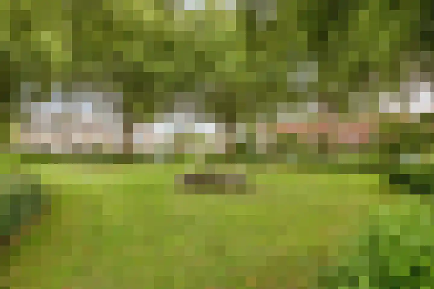 Wisch 9 Emmeloord thumbnail 21