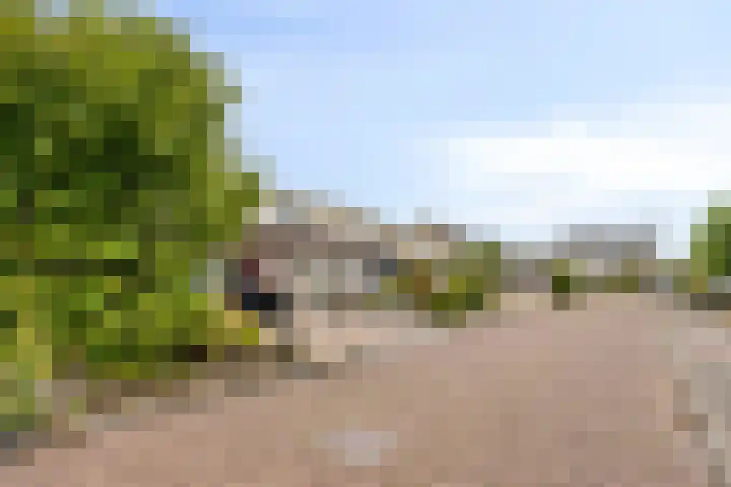 Wisch 9 Emmeloord thumbnail 25