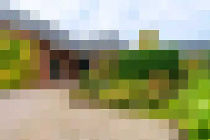 Wischmei 2 a Vlagtwedde thumbnail 10