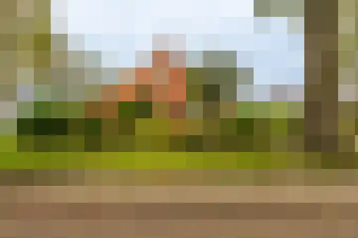Wischmei 2 a Vlagtwedde thumbnail 13