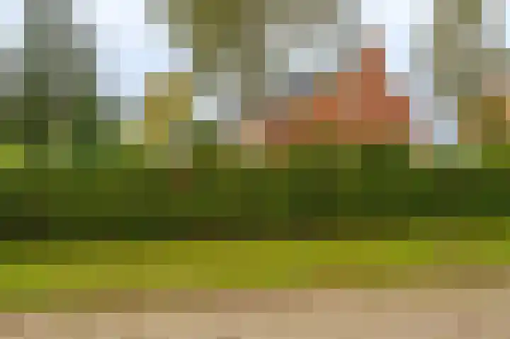 Wischmei 2 a Vlagtwedde thumbnail 14