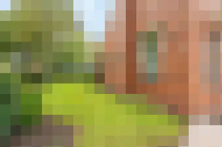 Wischmei 2 a Vlagtwedde thumbnail 15
