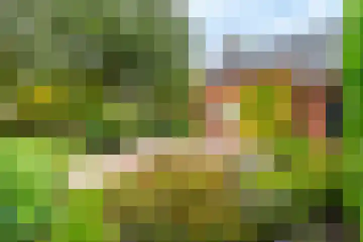 Wischmei 2 a Vlagtwedde thumbnail 16