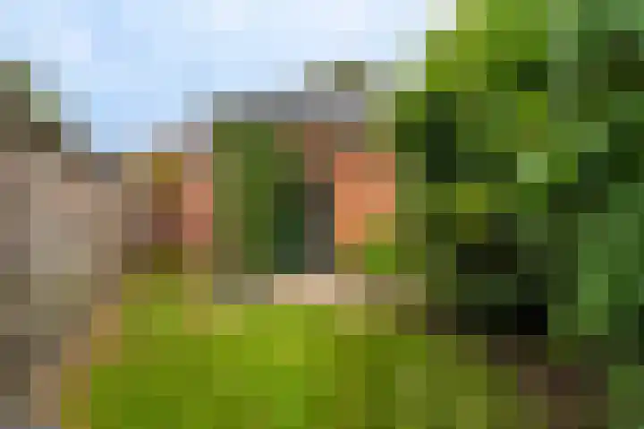 Wischmei 2 a Vlagtwedde thumbnail 17