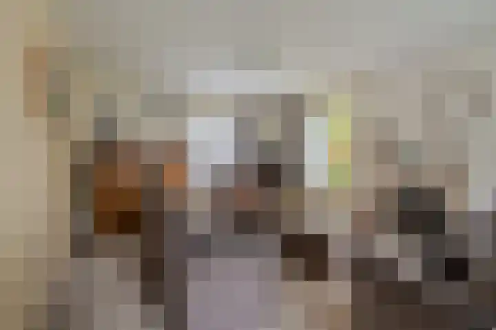 Wischmei 2 a Vlagtwedde thumbnail 19