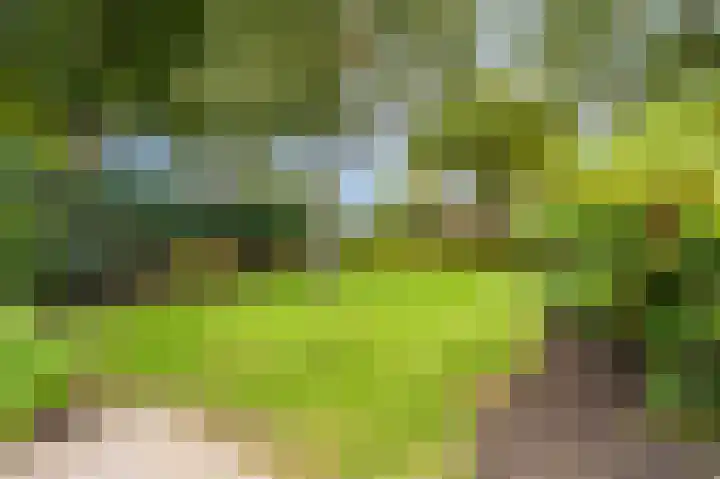 Wischmei 2 a Vlagtwedde foto 2