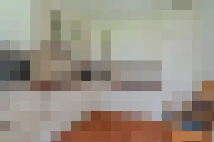 Wischmei 2 a Vlagtwedde thumbnail 23