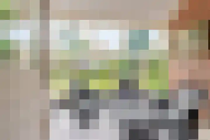 Wischmei 2 a Vlagtwedde thumbnail 24