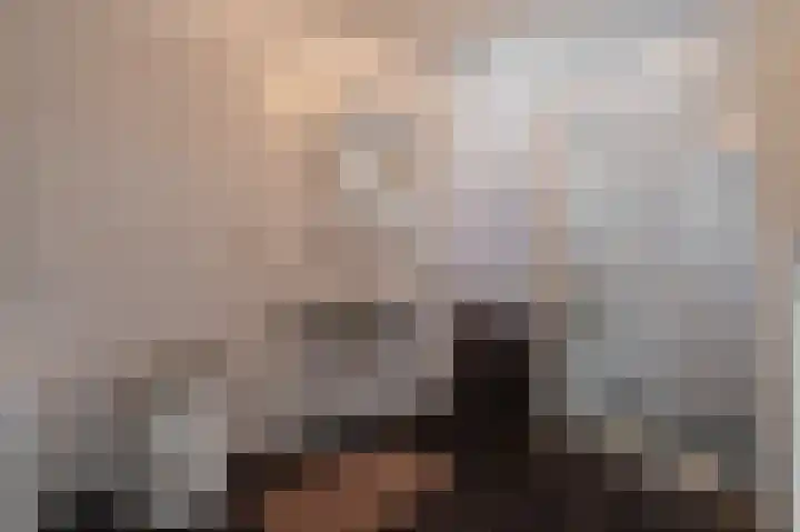 Wischmei 2 a Vlagtwedde thumbnail 28