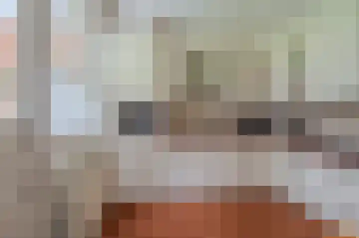 Wischmei 2 a Vlagtwedde foto 3