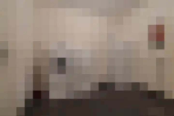 Wischmei 2 a Vlagtwedde thumbnail 32