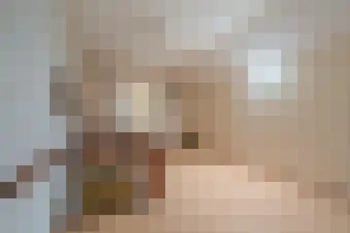 Wischmei 2 a Vlagtwedde thumbnail 34