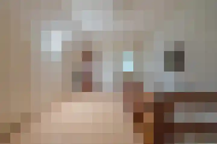 Wischmei 2 a Vlagtwedde thumbnail 35