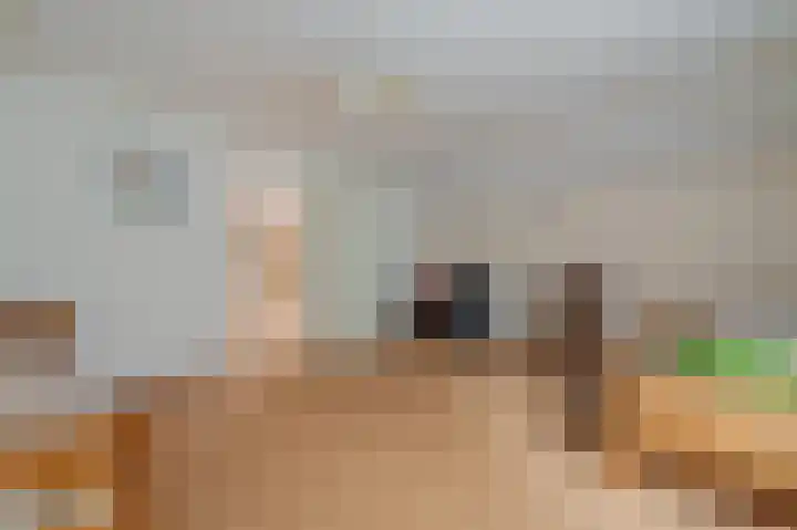 Wischmei 2 a Vlagtwedde thumbnail 38