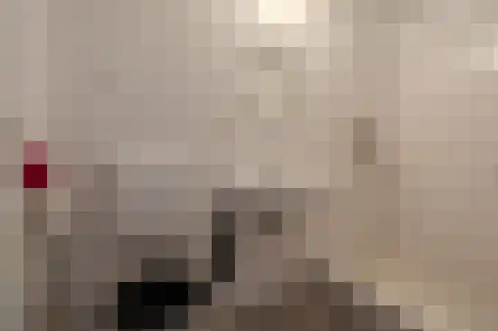 Wischmei 2 a Vlagtwedde thumbnail 39